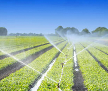 irrigation